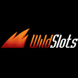 Wild Slots logo