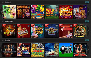 Novibet Casino's spelutbud